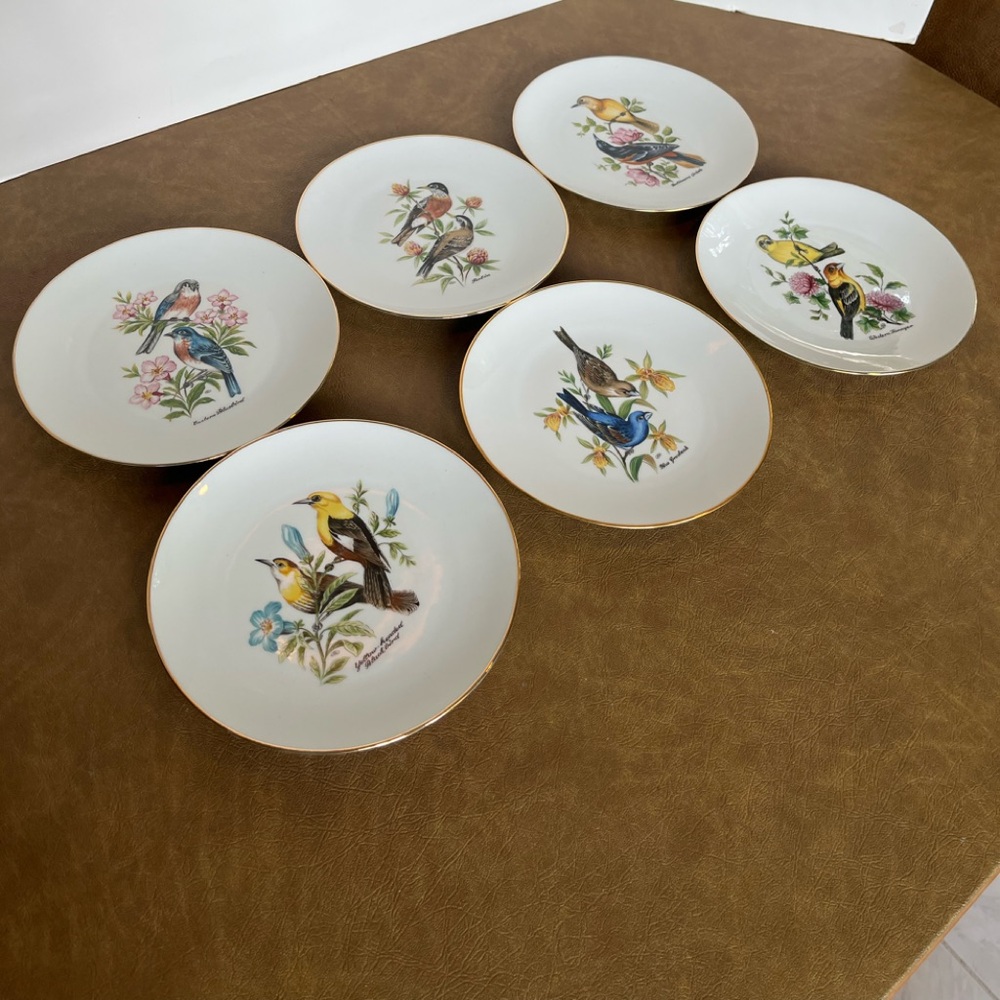 Vintage Set of Six Bareuther Waldsassen Porcelain Plates Featuring Birds - Picture 10 of 10